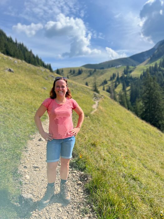 Die Berge